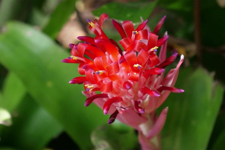 Beautiful island tour 5-6 hours | Mahé, Seychelles | Private Tour