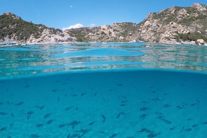 Sailing tour Archipelago of La Maddalena from Palau