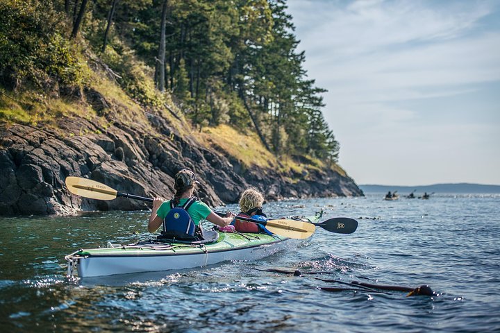 3-Hour Sea Kayak Tour in the San Juan Islands