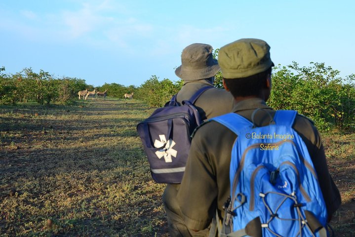 All Inclusive 3 Day Kruger Safari Adventure From Johannesburg