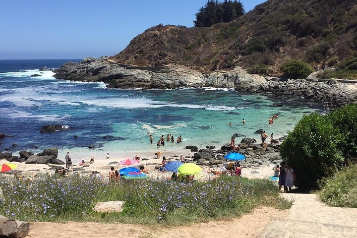 Private boat trip to see penguins from Valparaíso Cachagua Island