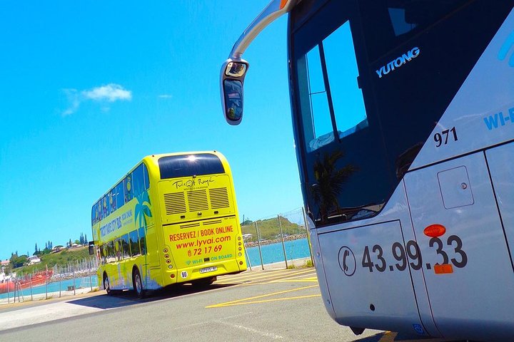 Hop-On Hop-Off / HOHO / All Day Pass (return ticket's) with LYVAI
