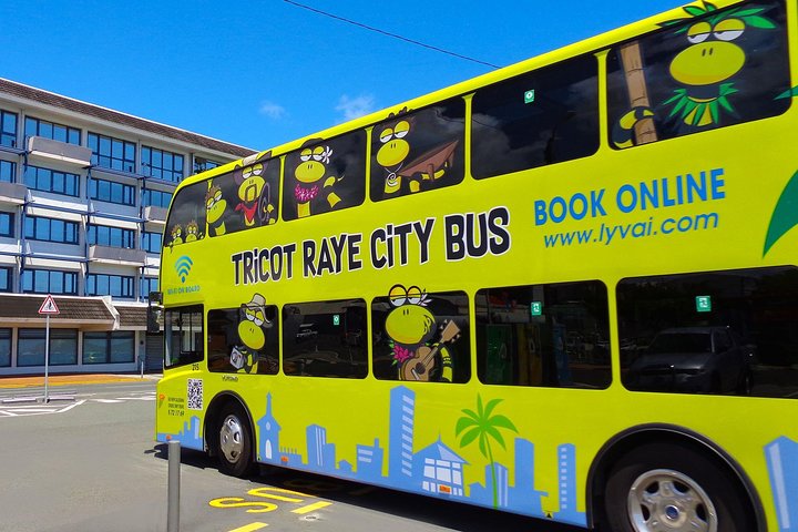 Hop-On Hop-Off / HOHO / All Day Pass (return ticket's) with LYVAI