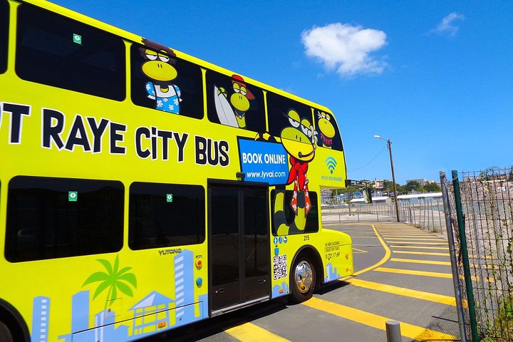 Hop-On Hop-Off / HOHO / All Day Pass (return ticket's) with LYVAI