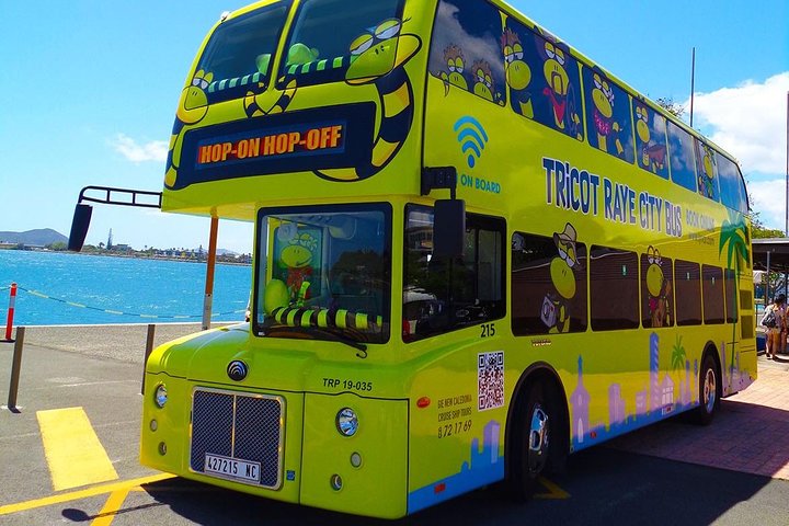 Hop-On Hop-Off / HOHO / All Day Pass (return ticket's) with LYVAI