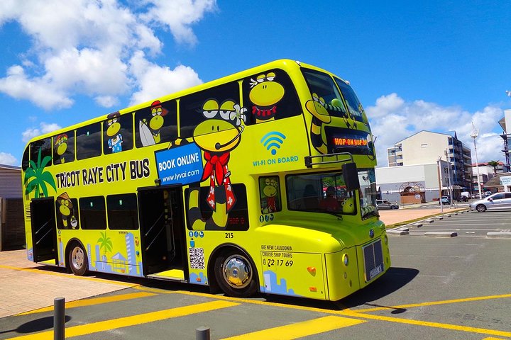 Hop-On Hop-Off / HOHO / All Day Pass (return ticket's) with LYVAI