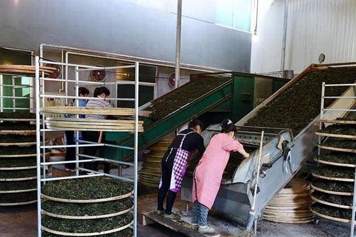 temmoku tea bowls culture experiences in Fujian Province china