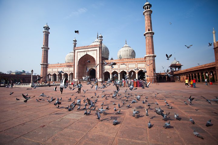 Old & New Delhi City Tour – Half or Full Day Options Available