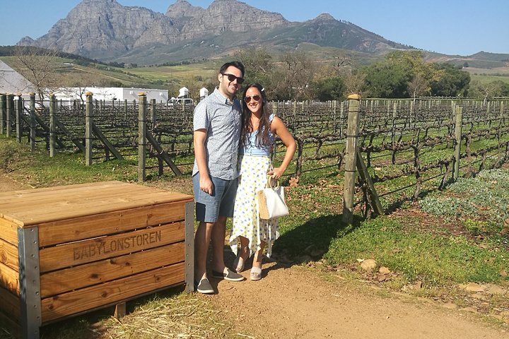 Private Wine Tour of Stellenbosch, Franschhoek and Paarl