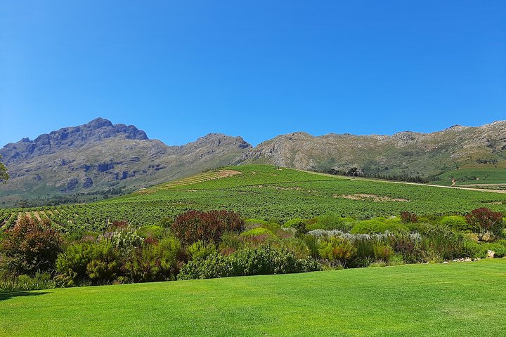 Private Wine Tour of Stellenbosch, Franschhoek and Paarl