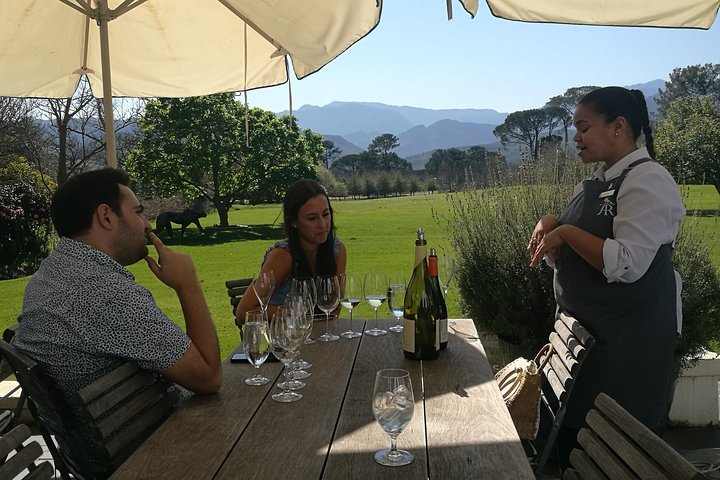 Private Wine Tour of Stellenbosch, Franschhoek and Paarl