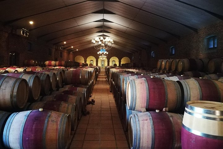 Private Wine Tour of Stellenbosch, Franschhoek and Paarl