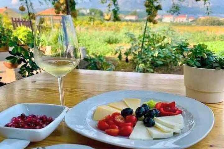 Wine tour Korčula - private tour
