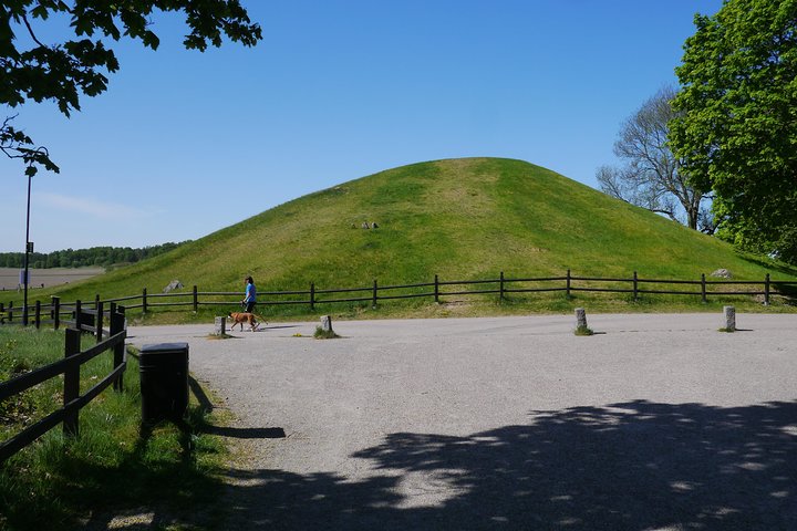 Viking History, Runes & Countryside 9h Tour to Sigtuna & Uppsala
