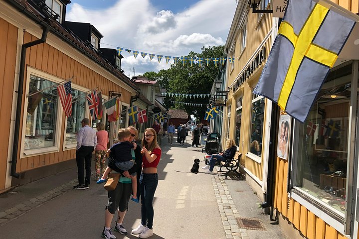 Viking History, Runes & Countryside 9h Tour to Sigtuna & Uppsala