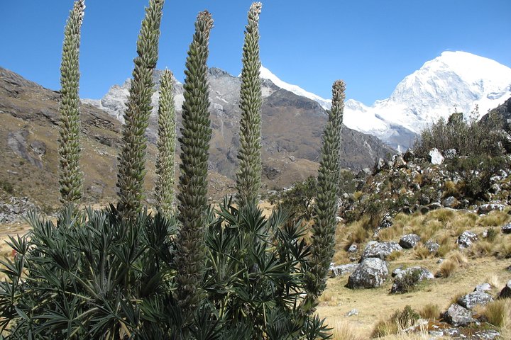Lake 69 Full-Day Hiking Tour from Huaraz