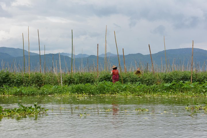 Inle Lake Full-Day Tour with Boat Trip and Lunch