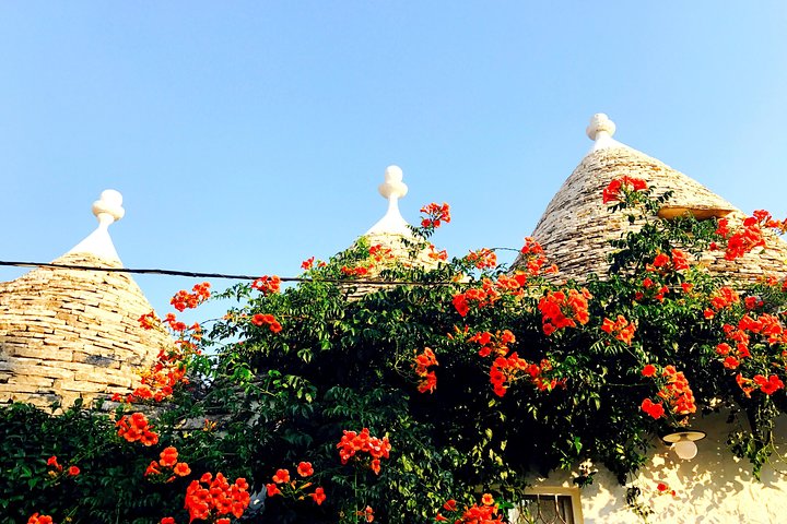 Tour Ebike Trulli Alberobello e Locorotondo