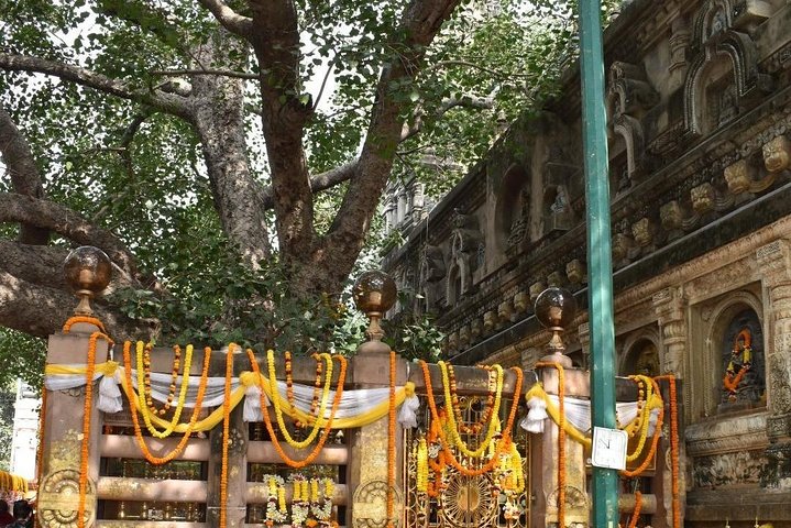 Bodhgaya Day Tour (Hotel Pickup)