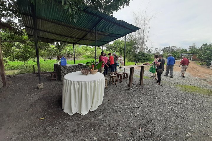 Half-day Chocolate Workshop - Cacao Farm