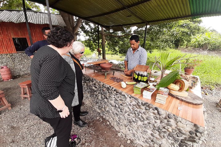 Half-day Chocolate Workshop - Cacao Farm