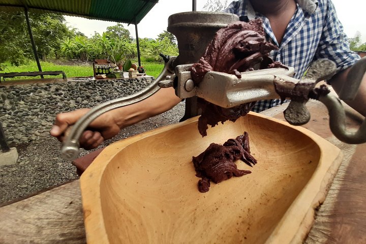 Half-day Chocolate Workshop - Cacao Farm