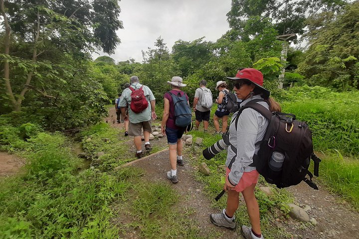 Full day to Ecological Reserve Churute Mangrove