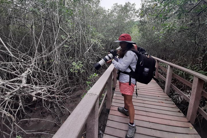 Full day to Ecological Reserve Churute Mangrove