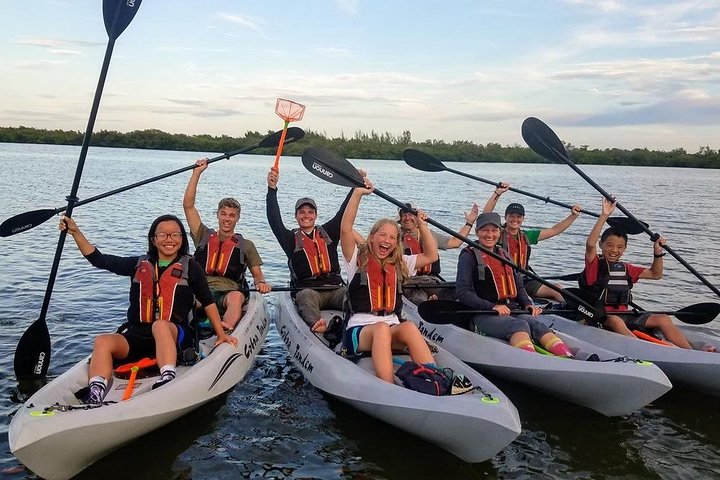 Mangrove Tunnels, Dolphins, Manatee Tour #1 Rated in Cocoa Beach