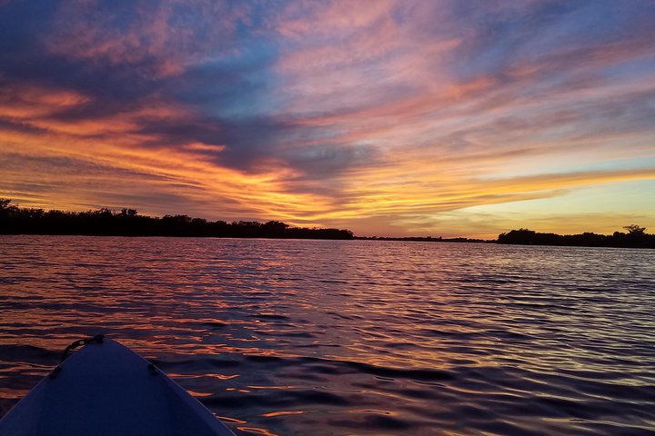 Mangrove Tunnels, Dolphins, Manatee Tour #1 Rated in Cocoa Beach