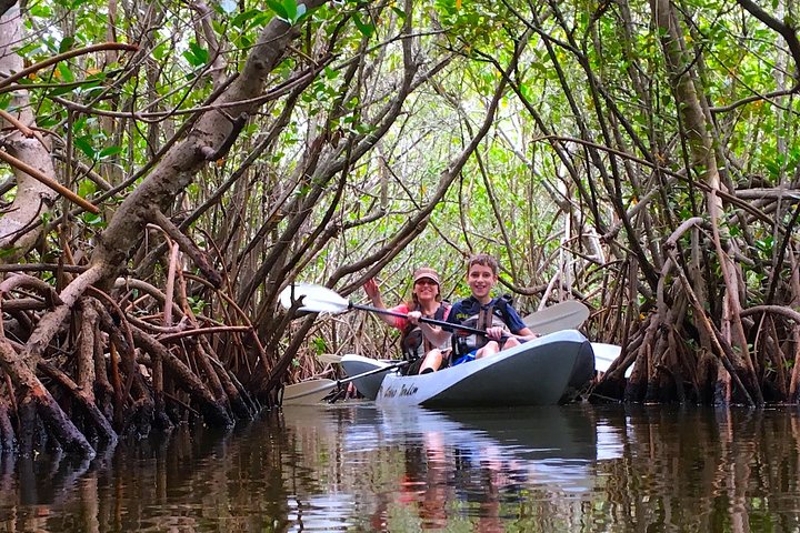 Mangrove Tunnels, Dolphins, Manatee Tour #1 Rated in Cocoa Beach
