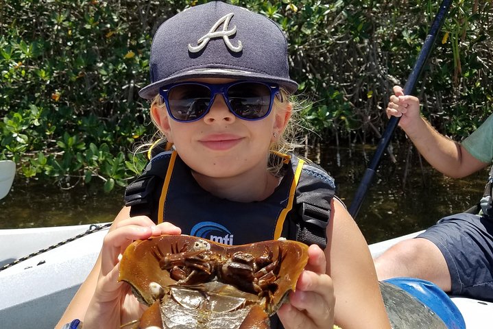 Mangrove Tunnels, Dolphins, Manatee Tour #1 Rated in Cocoa Beach