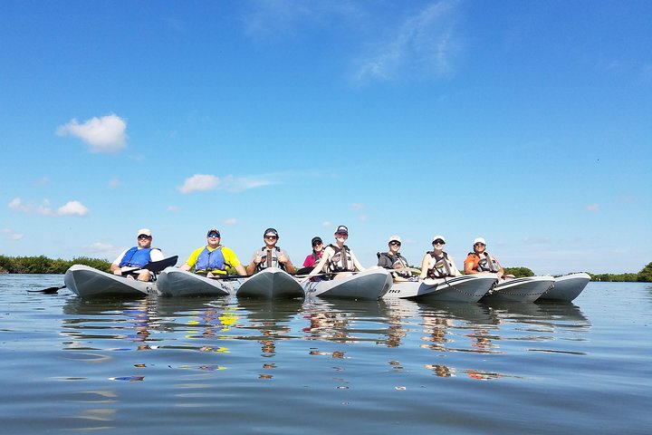 Mangrove Tunnels, Dolphins, Manatee Tour #1 Rated in Cocoa Beach