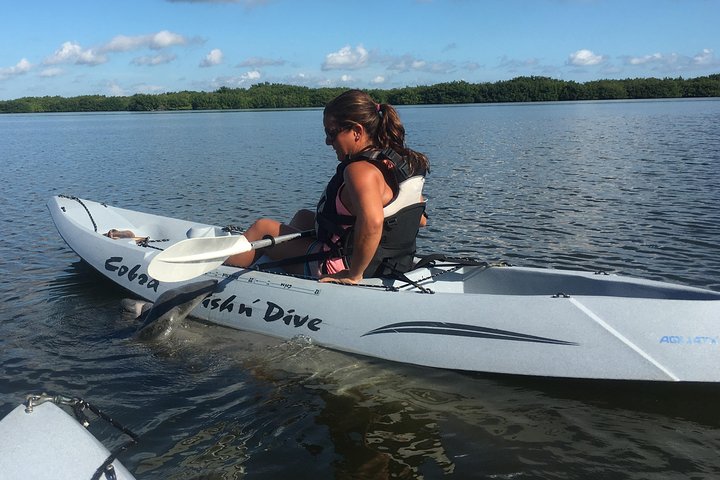 Mangrove Tunnels, Dolphins, Manatee Tour #1 Rated in Cocoa Beach