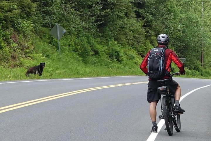 Ketchikan Electric Bike and Rain Forest Hike Ecotour