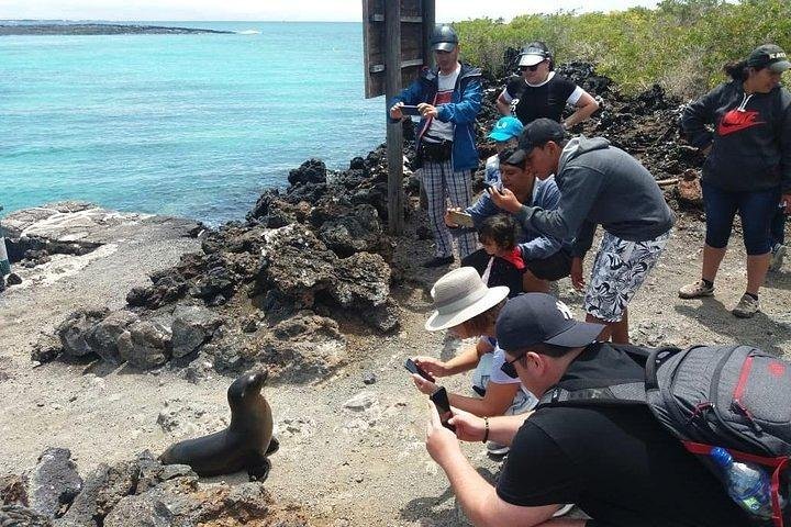 Half Day Tintoreras Tour from Isabela Island