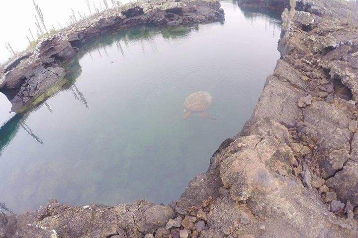 Full day Lava Tunnels Tour from Isabela Island