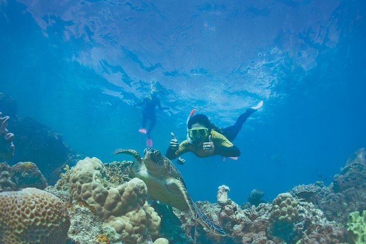 Whitsunday Islands Sail, SUP & Snorkel Tour-Small group