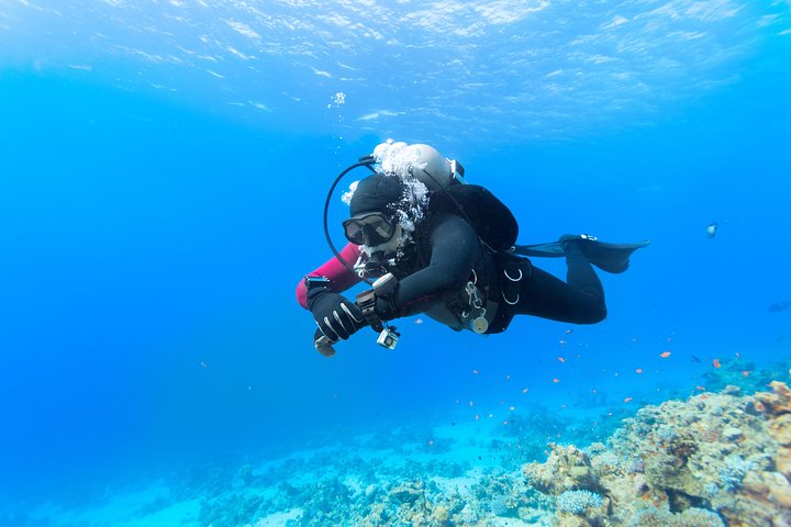Introductory Dive in Eilat