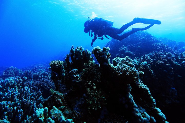 Introductory Dive in Eilat
