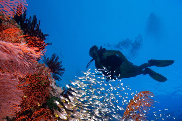 Introductory Dive in Eilat