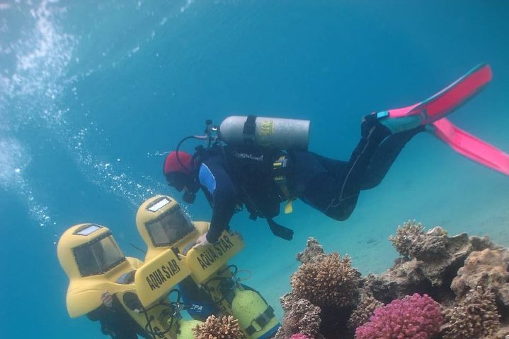 Introductory Dive in Eilat
