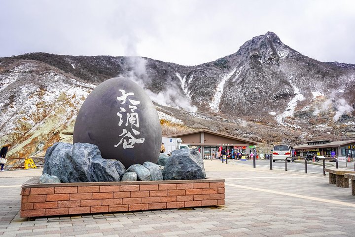 Private Tour - Hakone Day Trip! A Tour to Explore All Must-Sees!