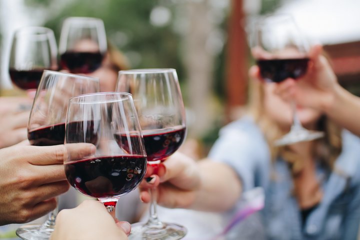 Day Trip: Wine Tasting in Ribera del Duero from Madrid (by High-Speed Train)