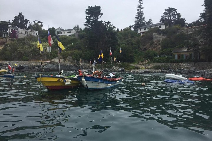 Private boat trip to see penguins from Valparaíso Cachagua Island