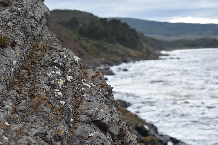 Punta Arenas Signature Shore Experience