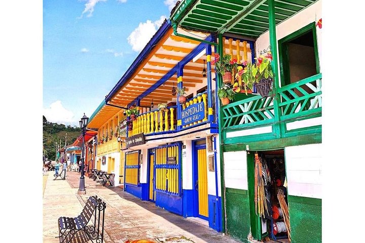 Cocora, Salento and Filandia Tour