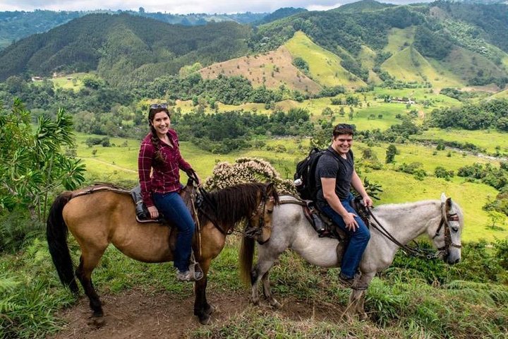 Cocora, Salento and Filandia Tour