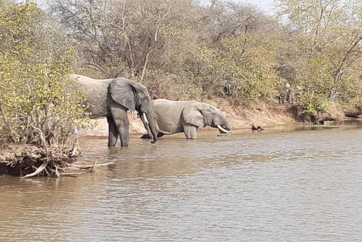 3 Days Trip to Mole National Park