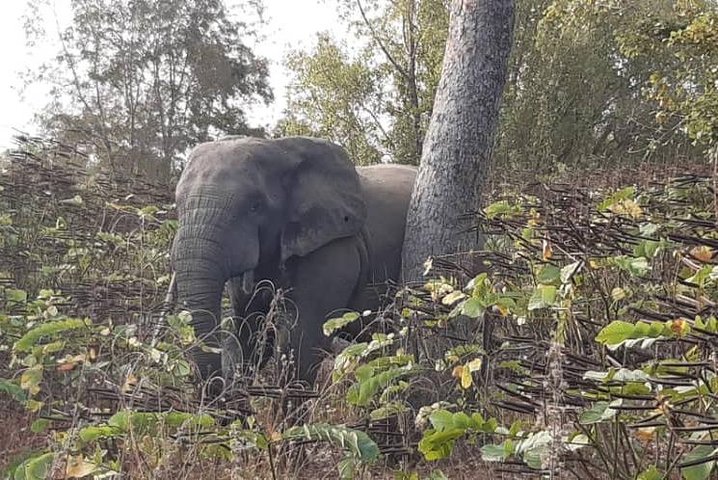 3 Days Trip to Mole National Park